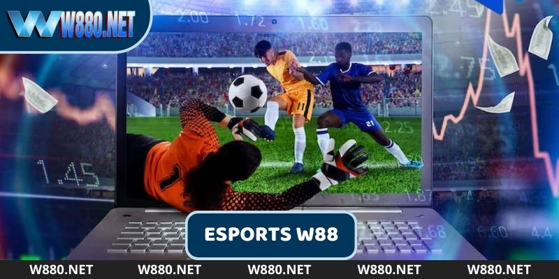 Tổng quát nhanh thông tin về W88 Esports